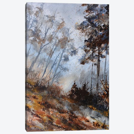 Misty november Canvas Print #LDT138} by Pol Ledent Canvas Artwork