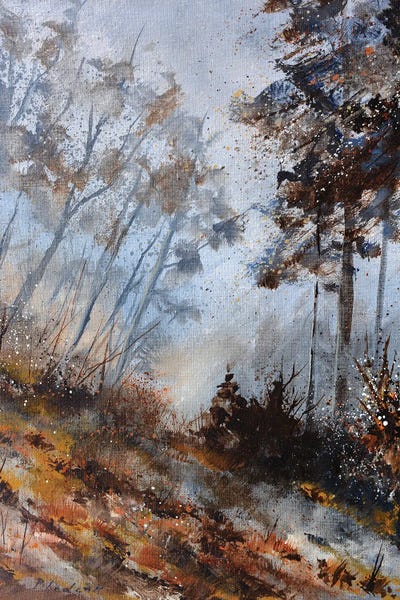 Mist & Fog: Misty november by Pol Ledent