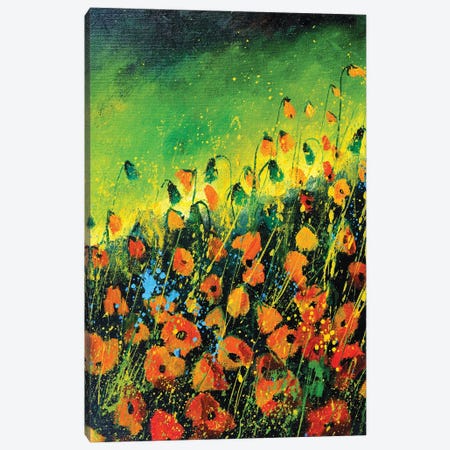 Orange poppies  - 452020 Canvas Print #LDT139} by Pol Ledent Canvas Art