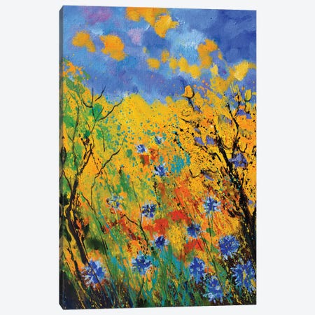 Blue cornflowers - 452020 Canvas Print #LDT141} by Pol Ledent Canvas Art Print
