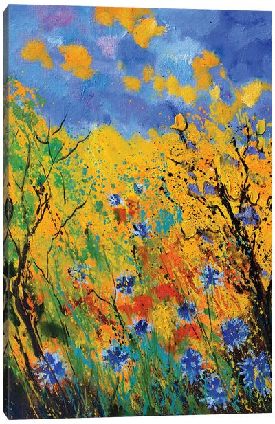 Blue cornflowers - 452020 Canvas Art Print