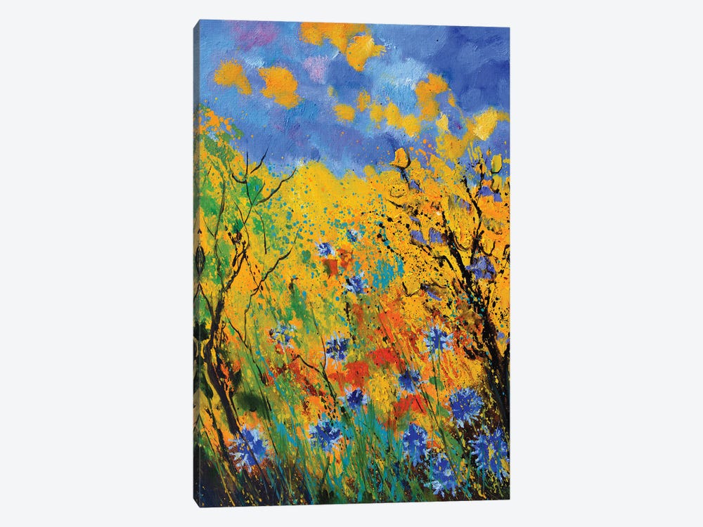 Blue cornflowers - 452020 by Pol Ledent 1-piece Canvas Art Print