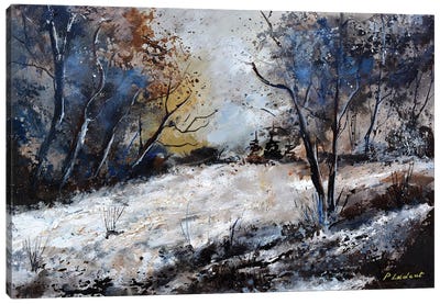 Winter in the wood - 542020 Canvas Art Print - Pol Ledent