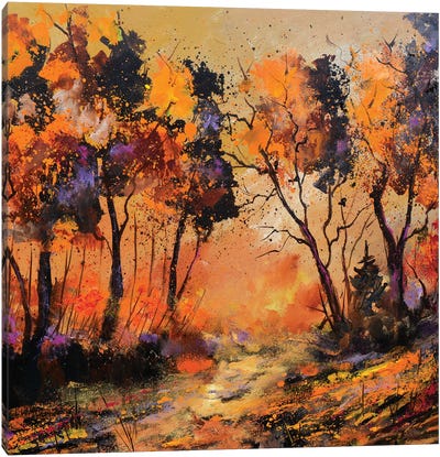 Sunset Canvas Art Print - Pol Ledent