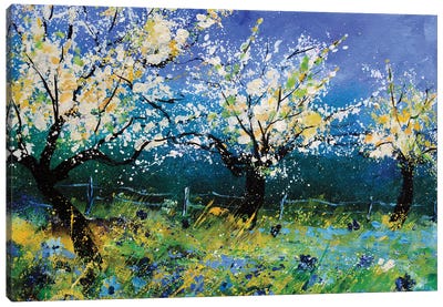 Apple trees in spring Canvas Art Print - All Things Van Gogh