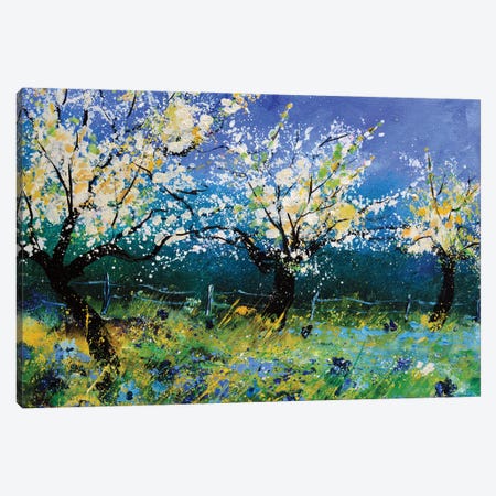 Apple trees in spring Canvas Print #LDT160} by Pol Ledent Art Print