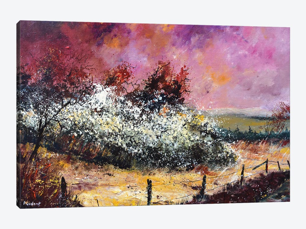 Hawthorn In Blossom by Pol Ledent 1-piece Art Print