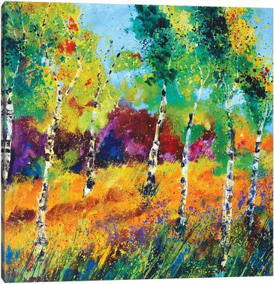 Aspen Trees Canvas Art Print - Oil Painting