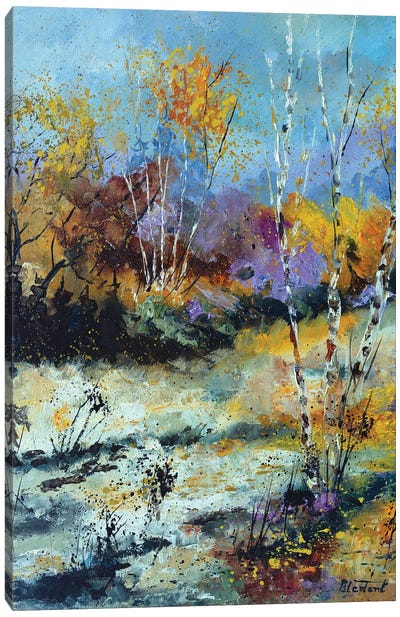 Autumnal Colors Canvas Art Print - Aspen Tree Art