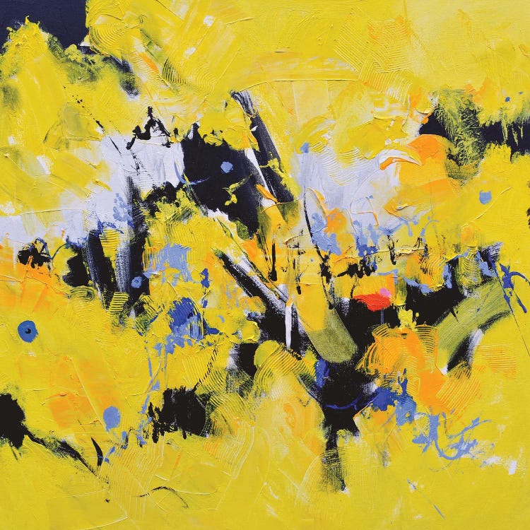 The Sunshine Of Your Love by Pol Ledent wall art