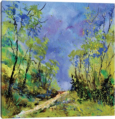 Spring Path Canvas Art Print
