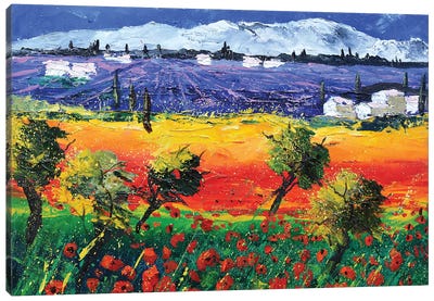 Red Poppies In Provence Canvas Art Print - Pol Ledent