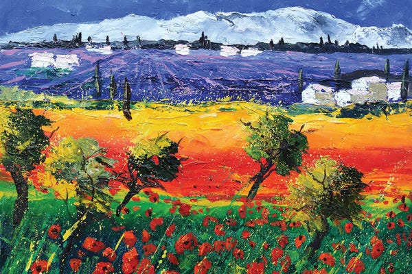 Snowy Mountains: Red Poppies In Provence by Pol Ledent