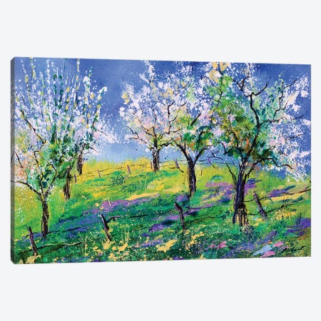 Orchard In Spring Canvas Print #LDT198} by Pol Ledent Canvas Artwork