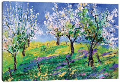 Orchard In Spring Canvas Art Print - Artists Like Van Gogh