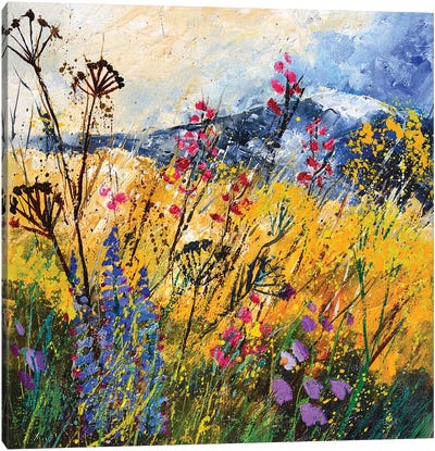 Wild Flowers Canvas Art Print - Pol Ledent