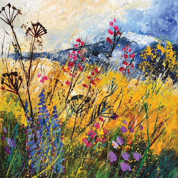 Wildflowers: Wild Flowers by Pol Ledent