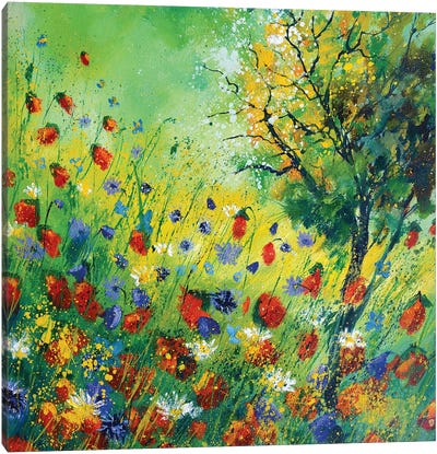 Poppies And Cornflowers Canvas Art Print - Pol Ledent