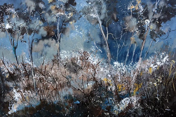 Rustic Winter: Winter In The Wood by Pol Ledent
