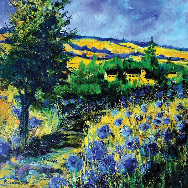 Poppies: Blue Path by Pol Ledent