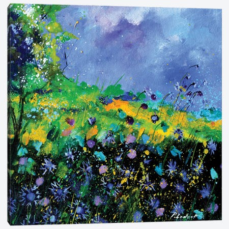 Blue Cornflowers Canvas Print #LDT205} by Pol Ledent Canvas Print