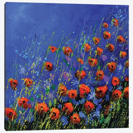 Poppies Canvas Print #LDT213} by Pol Ledent Art Print