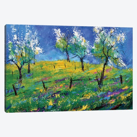 Orchard In Spring Canvas Print #LDT21} by Pol Ledent Canvas Art Print