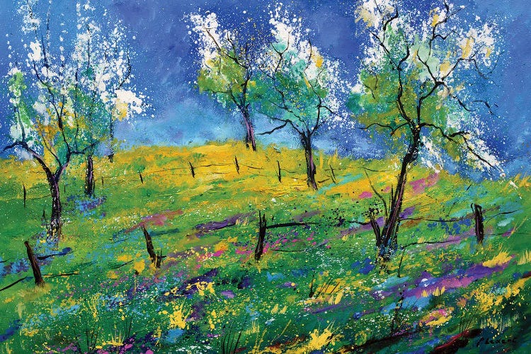 Orchard In Spring