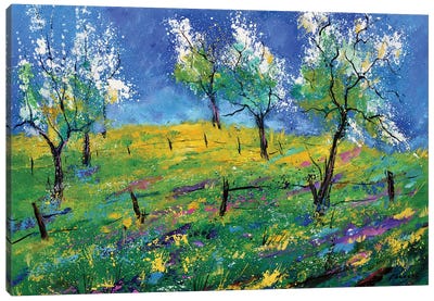 Orchard In Spring Canvas Art Print - Pol Ledent