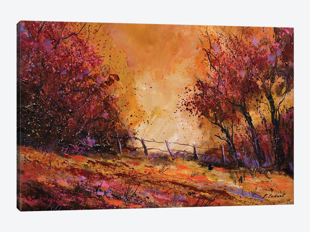 Autumn Light by Pol Ledent 1-piece Canvas Print