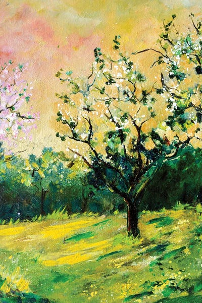 Appletree In Spring by Pol Ledent art print