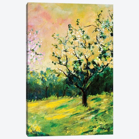 Appletree In Spring Canvas Print #LDT225} by Pol Ledent Canvas Print