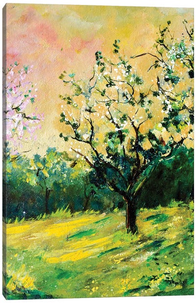 Appletree In Spring Canvas Art Print - Pol Ledent