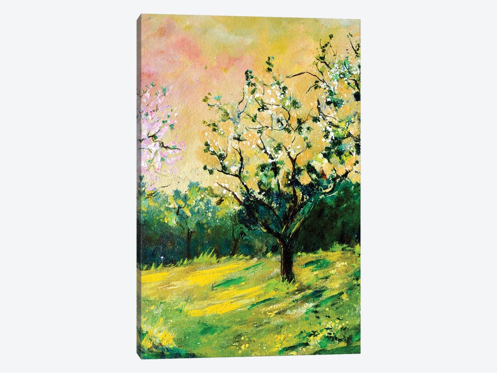 Appletree In Spring by Pol Ledent 1-piece Canvas Print