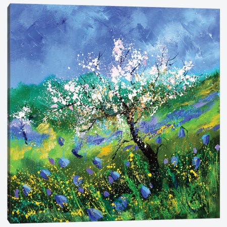 Blossoming Apple Tree Canvas Print #LDT226} by Pol Ledent Canvas Print