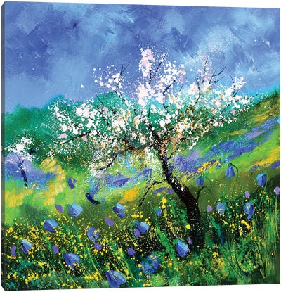 Blossoming Apple Tree Canvas Art Print - Pol Ledent