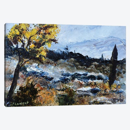Dry Provence Canvas Print #LDT230} by Pol Ledent Canvas Print