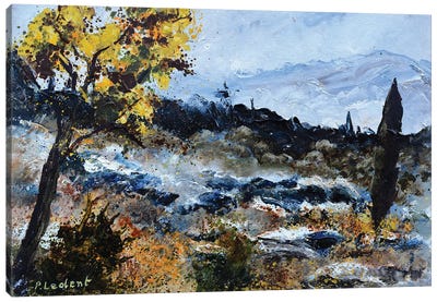 Dry Provence Canvas Art Print - Provence