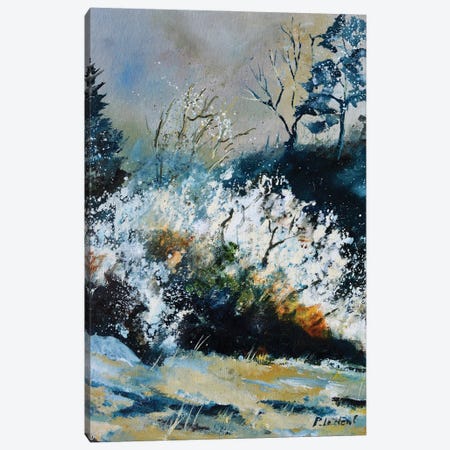 Blossoming Hawthorn Canvas Print #LDT232} by Pol Ledent Canvas Art Print