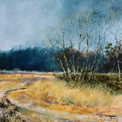 A Few Aspen Trees In Winter by Pol Ledent art print