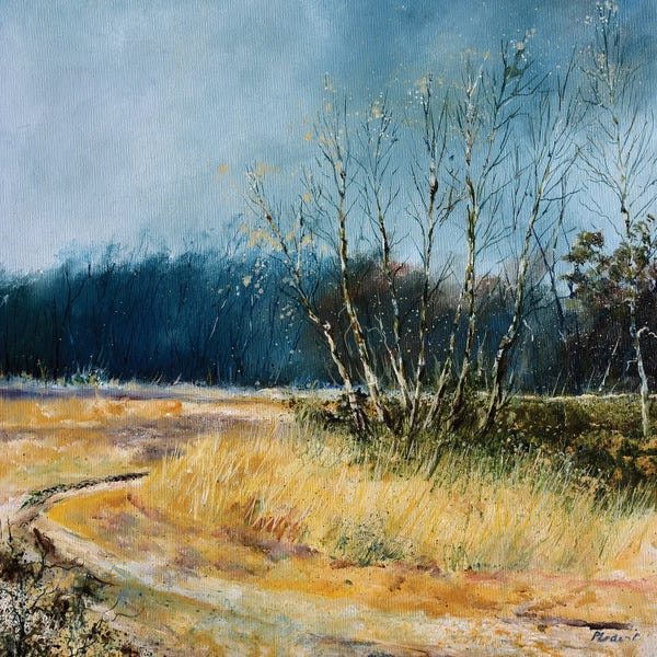 Rustic Winter: A Few Aspen Trees In Winter by Pol Ledent