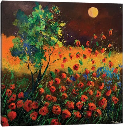 Red Poppies At Moonshine Canvas Art Print - Pol Ledent