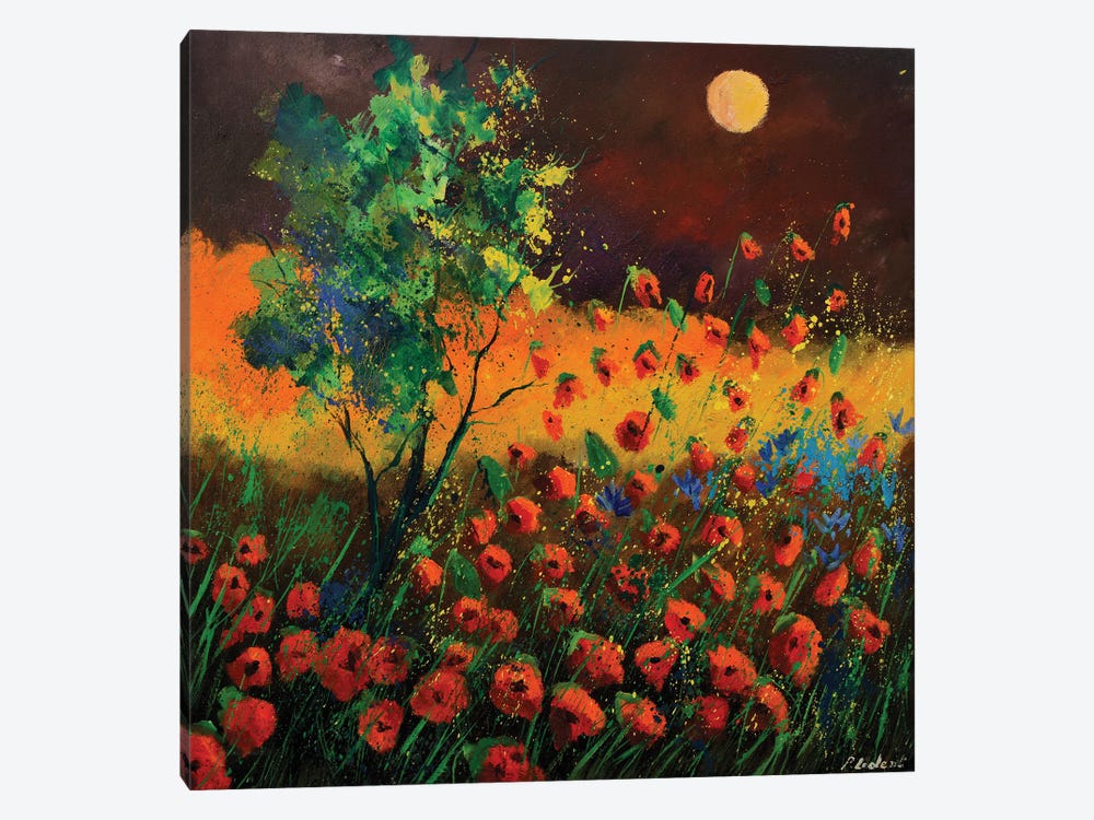 Red Poppies At Moonshine by Pol Ledent 1-piece Canvas Art Print