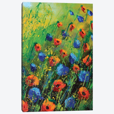 Red And Blue Poppies - 34 Canvas Print #LDT240} by Pol Ledent Canvas Wall Art