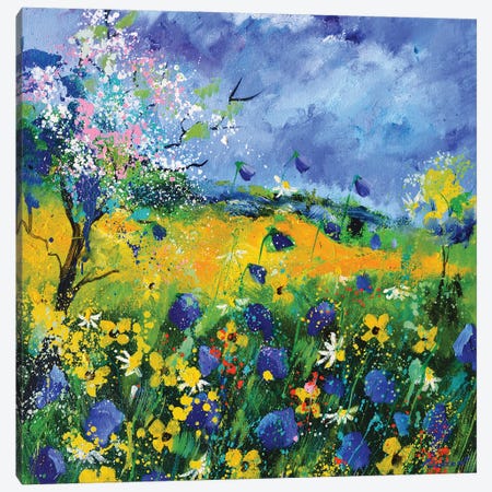 Wild Flowers In Summer Canvas Print #LDT244} by Pol Ledent Art Print