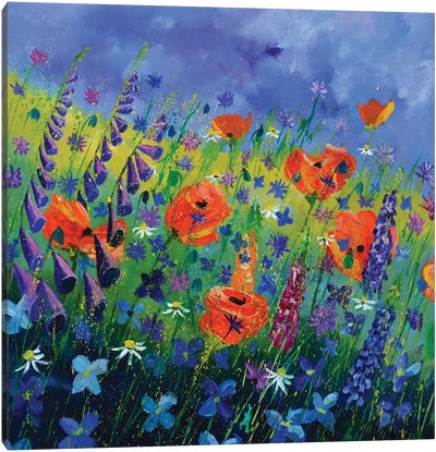 Garden Flowers - Orange Poppies Canvas Art Print - Pol Ledent