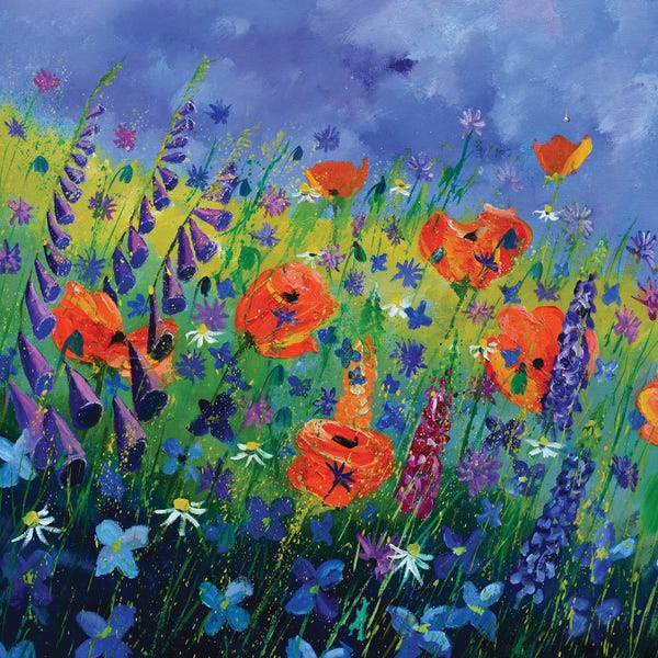 Poppies: Garden Flowers - Orange Poppies by Pol Ledent