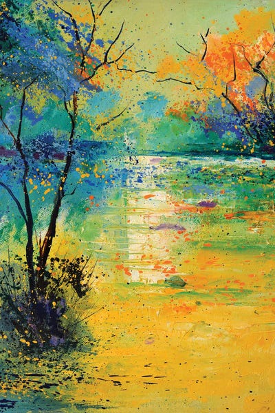 Ponds: Light On A Pond by Pol Ledent