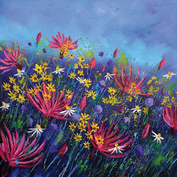 Cornflowers: Pink Cornflowers by Pol Ledent