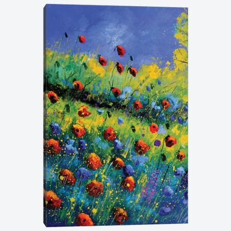 Poppies And Poppies Canvas Print #LDT263} by Pol Ledent Canvas Wall Art